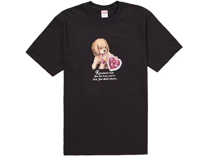 Supreme Dust Tee Black