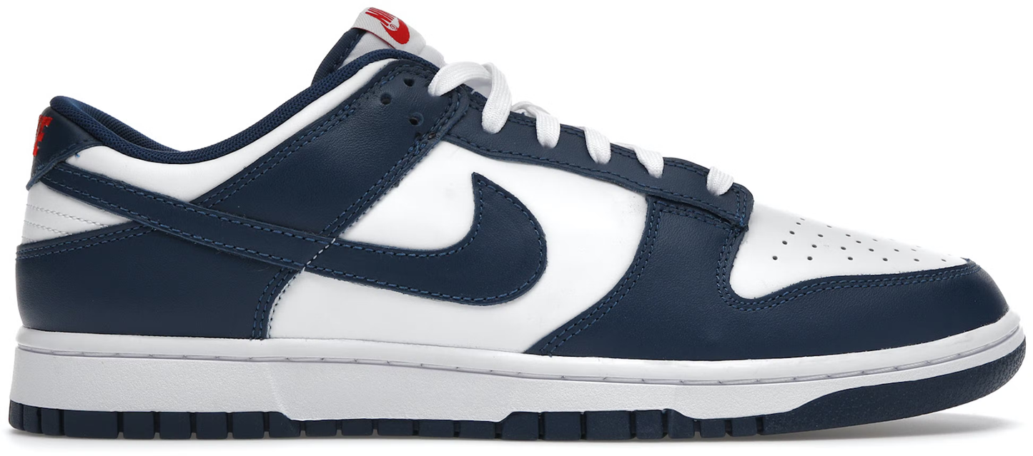 Nike Dunk Low Valerian Blue