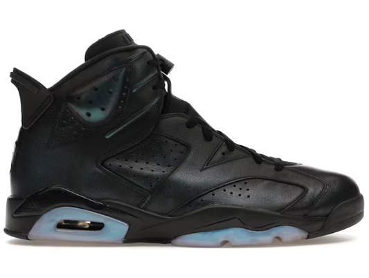 Jordan 6 Retro All-Star Chameleon (2017)